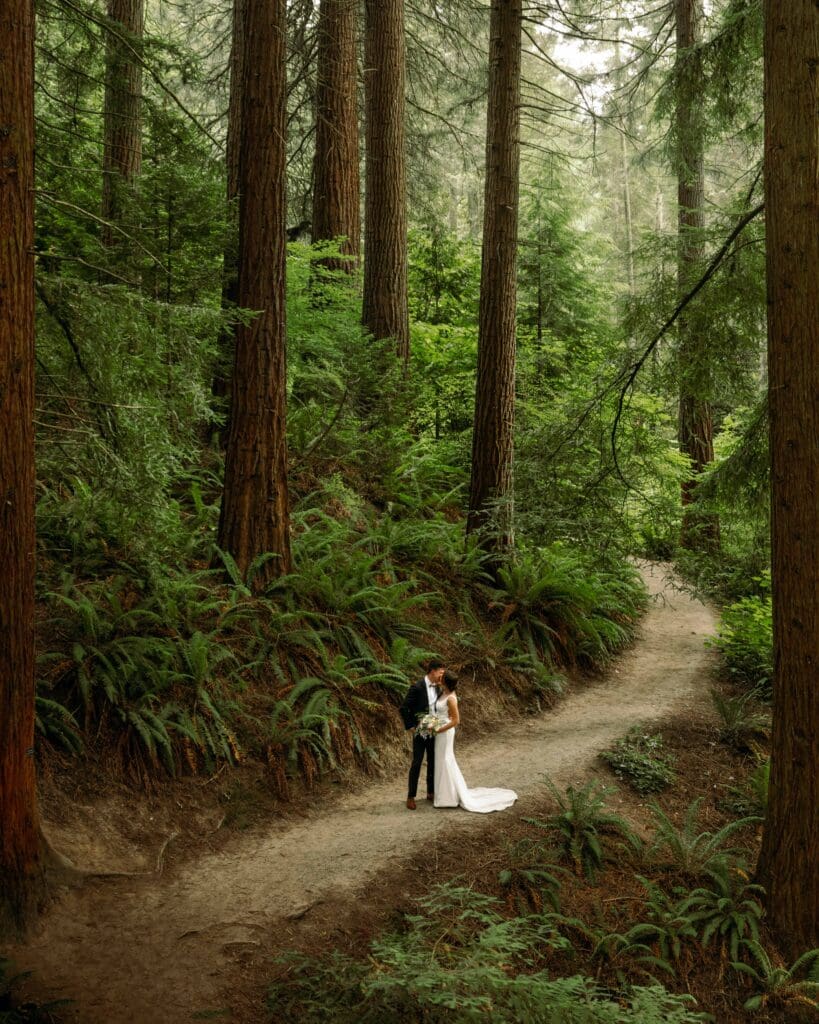 Redwoods Hoyt Arboretum Wedding Baileaves Photography