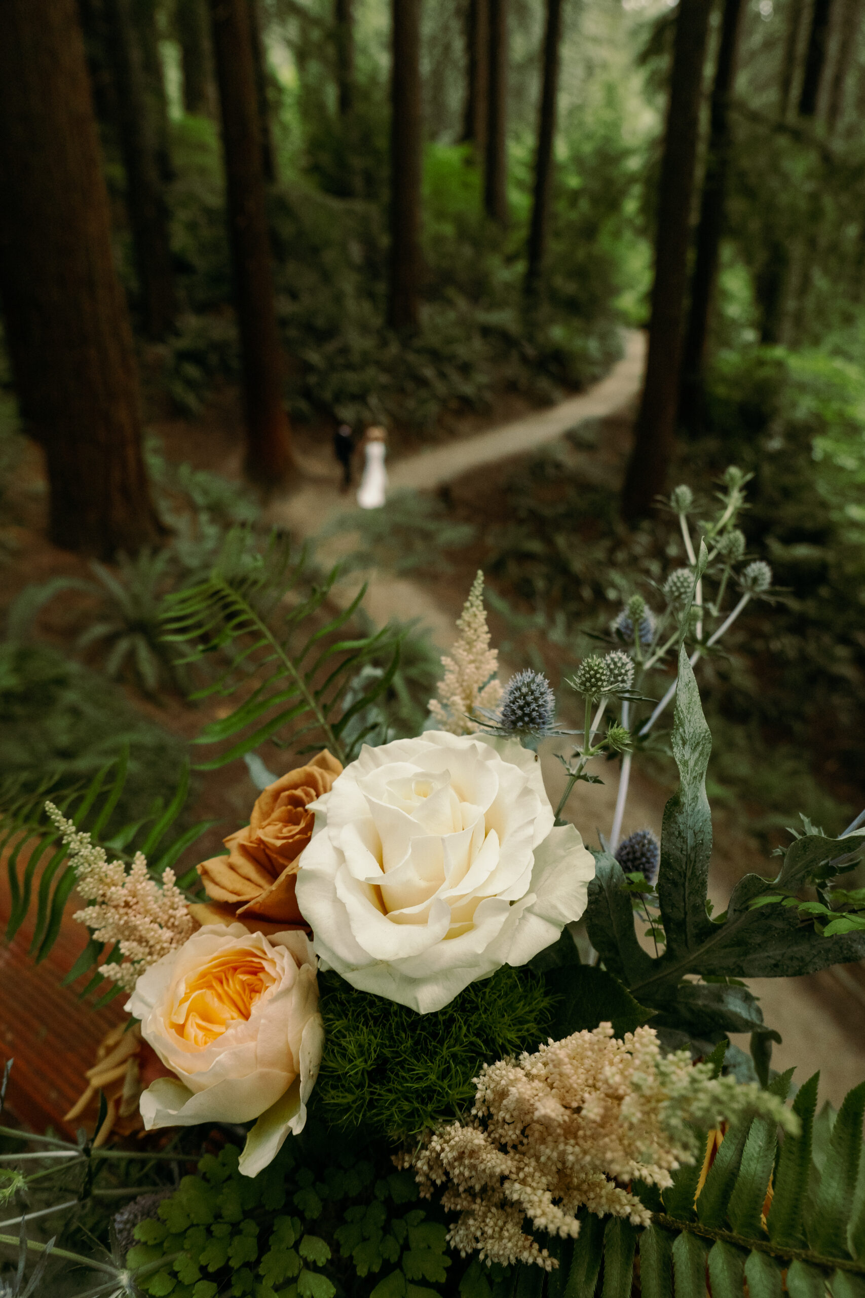 Forest park Wedding tree deck Portland Oregon