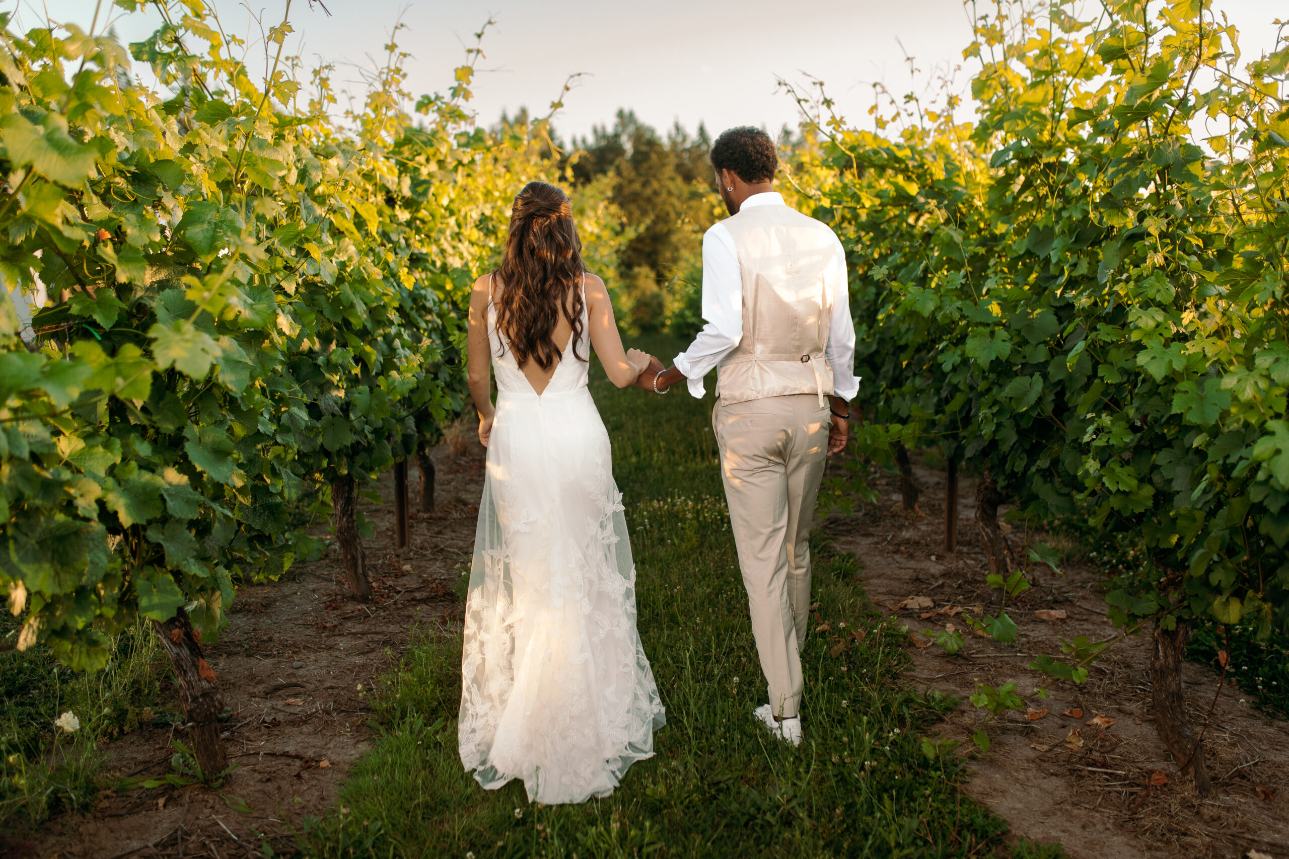 Sunset Elegant warm Oswego Hills Vineyard Wedding photography Oregon wine country