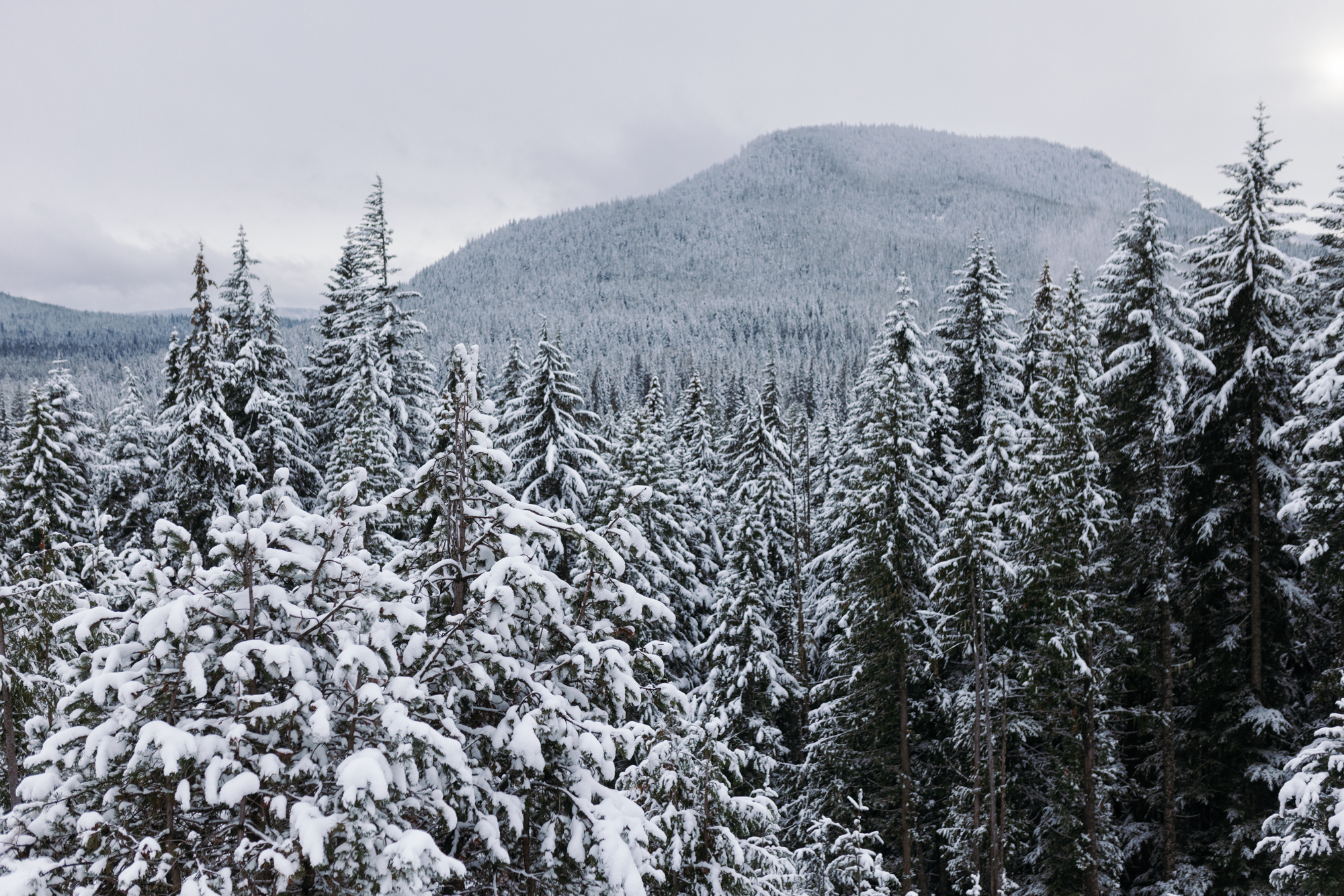 Mt. Hood forest overlook in snow landscape