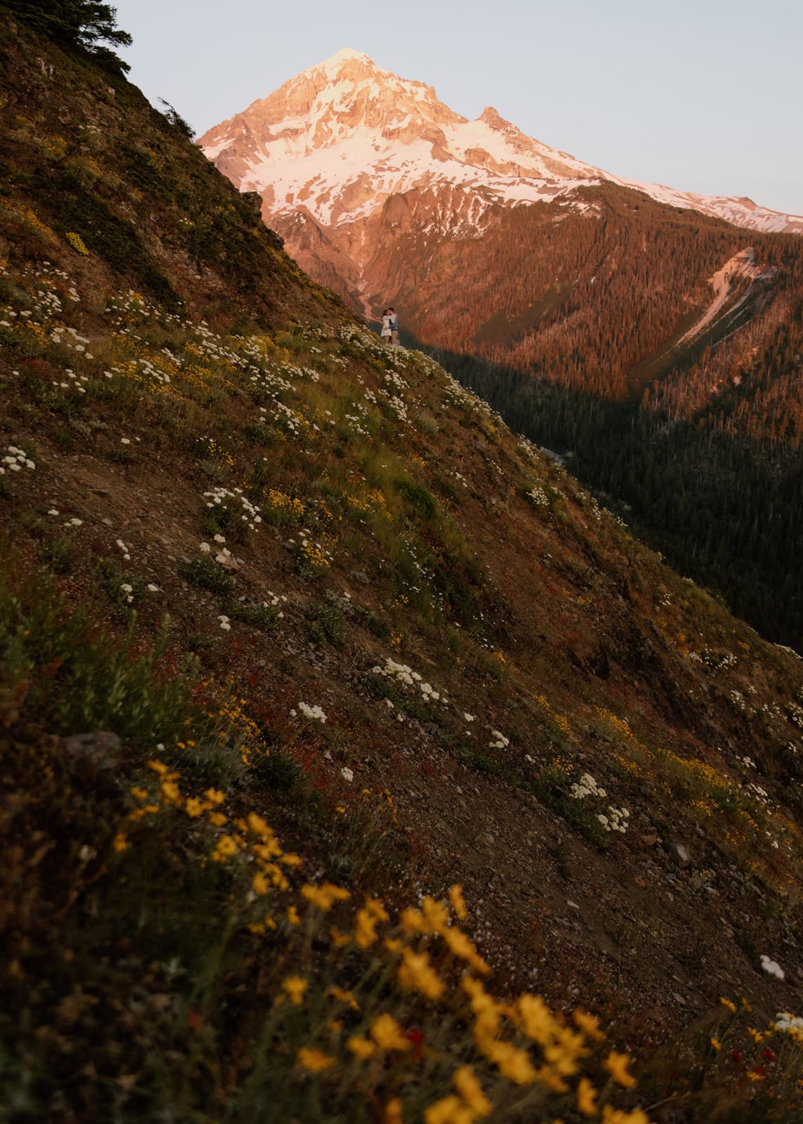 Alpine wild flower mt. Hood engagement session